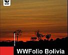 WWFolio Bolivia Nº 8