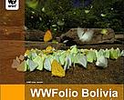 WWFolio Bolivia Nº 10