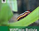 WWFolio Bolivia 11