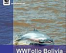 WWFolio 13