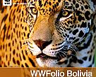WWFolio Bolivia 20