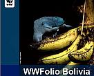 WWFolio Bolivia Nº 9