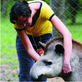  / &copy;: Fernando Allen for WWF Paraguay