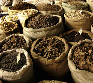 Medicinal plants' market. Chengdu, Sichuan Province, China. The harvesting of plants for ... / ©: (c) WWF-Canon / Michel GUNTHER Medicinal plants' market. Chengdu, Sichuan Province, China. / ©: (c) WWF-Canon / Michel GUNTHER