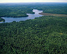 Aerial view of the northern Canadian forest.