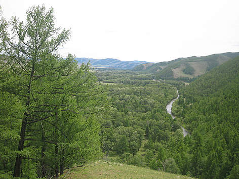  / &copy;: WWF Mongolia
