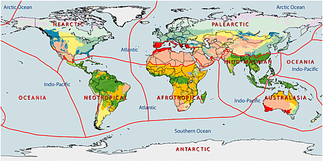 Map of Earth's terrestrial regions rel=