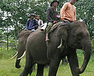 The 'Flying Squad' on patrol.