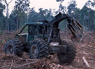 Illegal logging for paper industry and forest clearing for oil palmplantation. Tesso Nilo ... / ©: Alain Compost / WWF-Canon / ©: Alain Compost / WWF-Canon