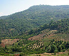 As a result of deforestation and land conversion to agriculture, parts of Thailand's Doi Suthep-Pui National Park are earmarked for forest restoration. 
