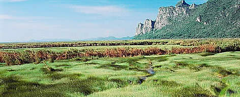 Swamp wetlands in Khao Sam Roi Yot National Park. Thailand.  / &copy;: WWF-Canon / Gerald S. CUBITT
