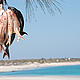 The daily catch in Itampolo © WWF / Teo Lopez Bernal
