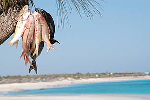  / &copy;: WWF / Teo Lopez Bernal