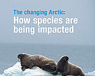 Cover of the fourth issue of The Circle newsletter for 2009.