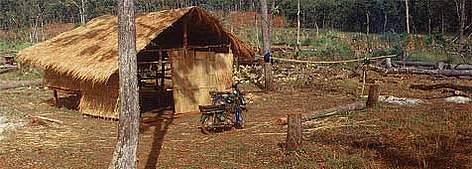 Migrants encroach on forest / ©: WWF-Canon / Jane STORY Migrants encroach on forest rel=