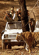  / &copy;: R. Isotti, A. Cambone - Homo Ambiens / WWF-Canon