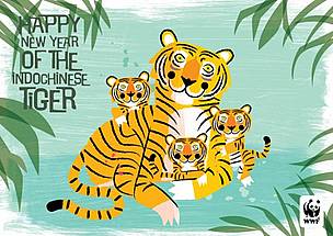 Send a special tiger e-card and help spread the word.The more people realize what simple steps can ... / ©: WWF - Radiola e-cards radiola illustration tigers / ©: WWF - Radiola