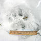 &copy; WWF-Russia/V. Kiriliuk