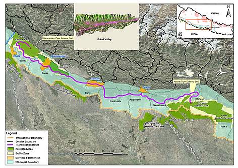 A map of the route taken for the translocation / ©: WWF Nepal rel=