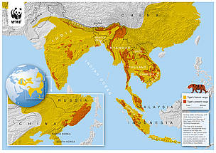 Historic and present range of tiger territory (Feb 2010) / ©: WCS, Smithsonian, STF, WWF / ©: WCS, Smithsonian, STF, WWF