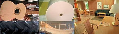 A few examples from a wide variety of uses of timber that touch our lives. / &copy;: WWF