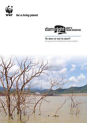 To dam or not to dam? Five years on from the World Commission on Dams