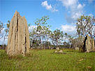 Tonda Wildlide Management Area, TransFly ecoregion, Papua New Guinea. / ©: WWF / ©: WWF
