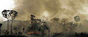 Amazonian rainforest being burnt to create pasture for ranching, Brazil.