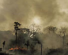 Amazonian rainforest being burnt to create pasture for ranching, Brazil.