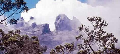 View to Tunku Abdul Rahman Peak (3948m) from the stunted forest at about 3200m, Mount Kinabalu ... / ©: WWF-Canon / Gerald S. CUBITT View to Tunku Abdul Rahman Peak (3948m) from the stunted forest at about 3200m, Mount Kinabalu ... rel=