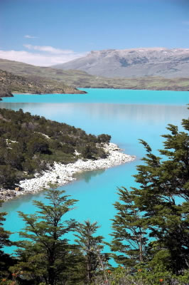 Azure glacier melt water in Lago Nordenskjold bordered by Patagonian forest. Lago Nordenskjold, ... / ©: WWF-Canon / James FRANKHAM Azure glacier melt water in Lago Nordenskjold bordered by Patagonian forest. Lago Nordenskjold, ... / ©: WWF-Canon / James FRANKHAM