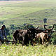 &copy; Richard Lavieille / WWF Paraguay