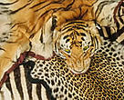 TRAFFIC works to ensure that trade in wild plants and animals is not a threat to the conservation of nature. Tiger and other skins confiscated at Heathrow Airport, UK.