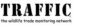 Traffic logo / ©: Traffic Traffic logo / ©: Traffic