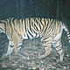 &copy; WWF-Indonesia