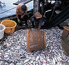 / &copy;:  © WWF-Canon / Jürgen FREUND