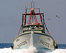 Trawler operating in the Eastern Mediterranean Sea.