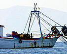 Trawler operating in the eastern Mediterranean Sea.