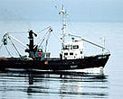 A trawler in the Bering Sea.