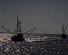 Trawlers in the North East Atlantic. Certain fishing gear directly damages habitats and species.