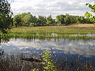  / &copy;: WWF / Misha Nesterenko