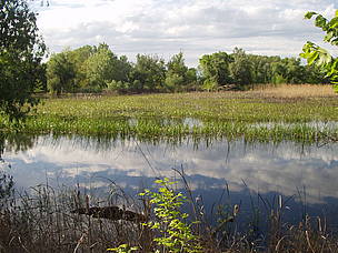  / &copy;: WWF / Misha Nesterenko