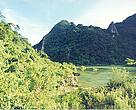 Rừng Trường Sơn