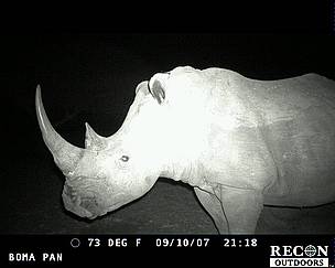 Wildlife caught on camera in Pilanesberg National Park, South Africa / ©: WWF / ©: WWF