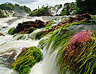Waterfall in Tumucumaque Mountains National Park, Brazil / ©: Zig Koch / ©: Zig Koch