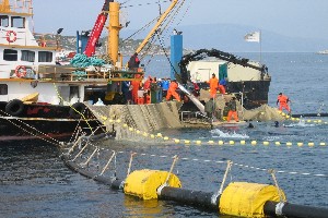 Tuna farming boat with feedfish. / ©: WWF-Mediterranean / Paolo Guglielmi / ©: WWF-Mediterranean / Paolo Guglielmi