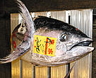 Tuna for sale at the Tokyo Fish Market, Japan