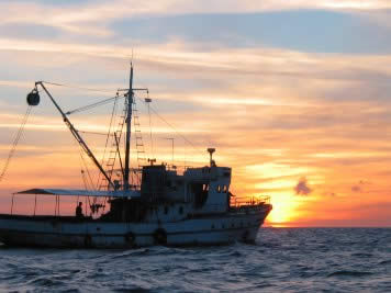 A tuna fishing vessel / ©: WWF A tuna fishing vessel / ©: WWF