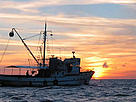 A tuna fishing vessel / &copy;: WWF