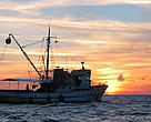 A tuna fishing vessel